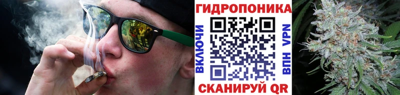 Купить закладки  Камызяк  Конопля индика 